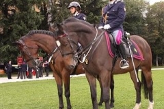 img (1)