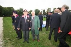 img (17)