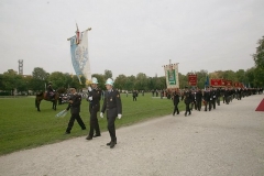 img (19)