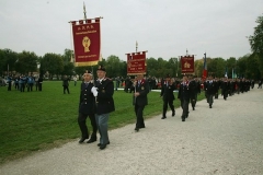 img (20)