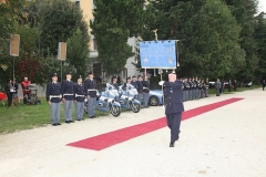 img (33)