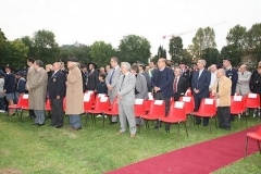 img (34)
