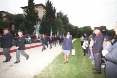 img (37)