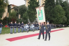 img (39)