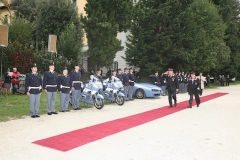img (40)