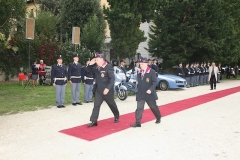 img (41)