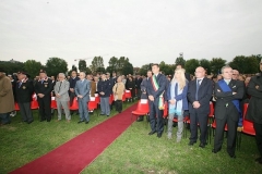 img (49)