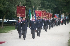 img (5)