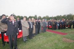 img (53)
