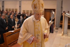 DSC (34)