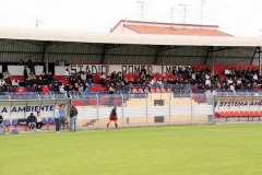 img (4)