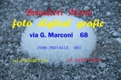 DSC (9008)